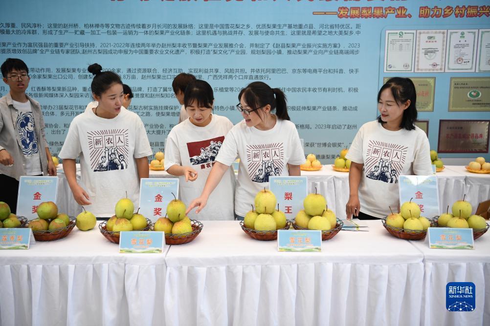 奔驰宝马会员